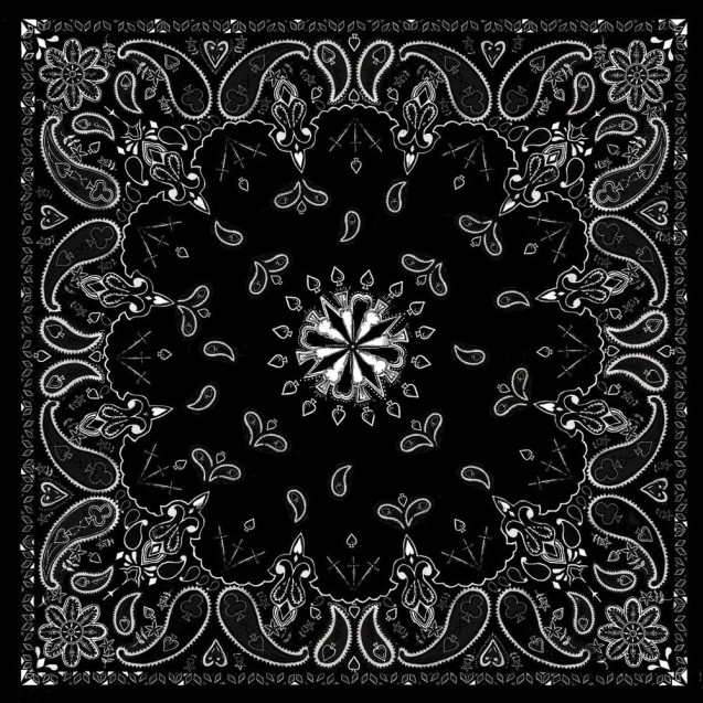 PAISLEY BANDANNA
